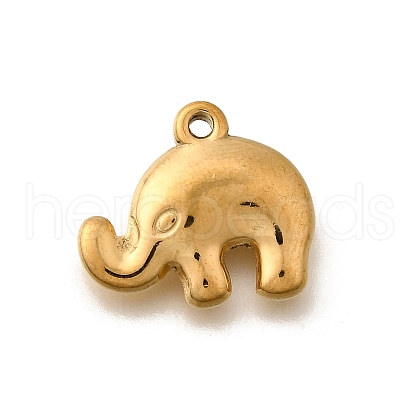 304 Stainless Steel Pendants STAS-C122-10G-1