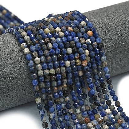 Natural Sodalite Beads Strands G-A260-A19-01-1