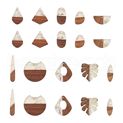 Kissitty 20Pcs 10 Style Resin & Walnut Wood Pendants RESI-KS0001-05-1