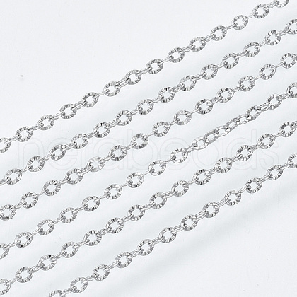 Tarnish Resistant 304 Stainless Steel Chains CHS-S001-12B-P-1