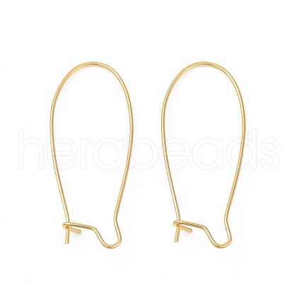 304 Stainless Steel Hoop Earring Findings STAS-P223-01G-07-1