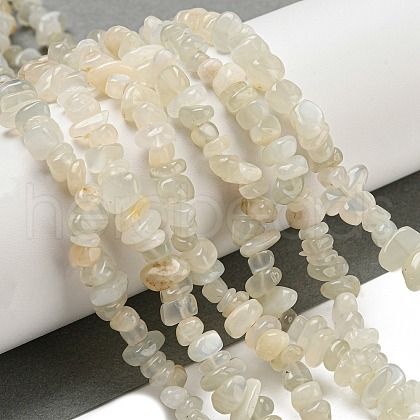 Natural White Moonstone Beads Strands G-P332-01-1