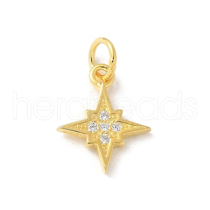 S925 Sterling Silver Micro Pave Cubic Zirconia Pendant STER-H115-02B-G-1