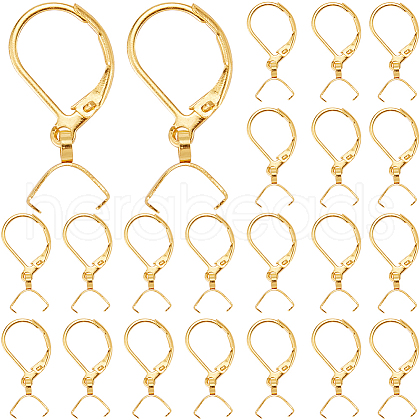 SUNNYCLUE 40Pcs 304 Stainless Steel Leverback Earring Findings STAS-SC0009-31G-1