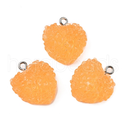 Resin Pendants FIND-U031-11B-P-1