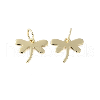 Brass Pendants KK-F892-41G-1