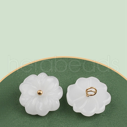 Resin Pendants PW-WG72C6B-03-1