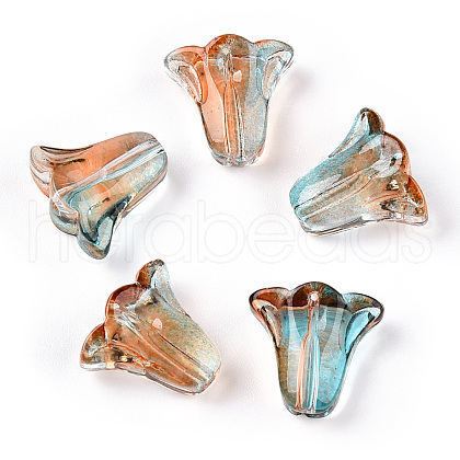 Spray Painted Transparent Glass Beads GLAA-D006-20C-1