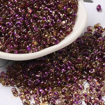 Spray Painted Glass Seed Beads SEED-F005-02A-02-1