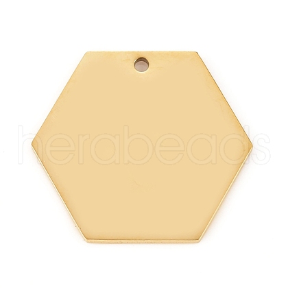 304 Stainless Steel Pendants STAS-L238-087A-G-1