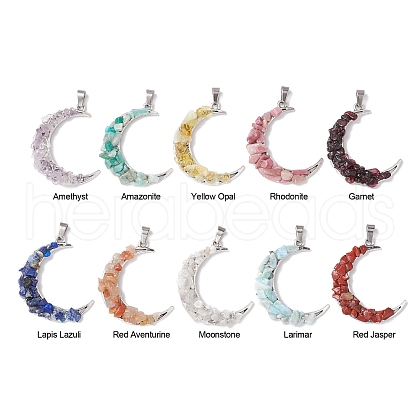 10Pcs 10 Styles Natural Mixed Gemstone Chip Pendants PALLOY-JF02834-1