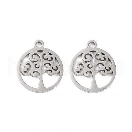Non-Tarnish 316 Surgical Stainless Steel Charms STAS-C096-11B-P-1
