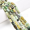 Natural Serpentine Beads Strands G-N346-01B-04-1