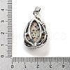 Natural Dalmatian Jasper Teardrop Pendants G-G112-03P-03-3