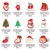 24Pcs 12 Styles Christmas Decorations Theme Opaque Acrylic Bead with Enamel FIND-FS0002-66-4