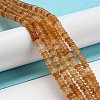 Natural Red Aventurine Beads Strands G-K343-C02-01-2