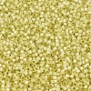 MIYUKI Delica Beads X-SEED-J020-DB0623-3