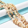 Natural Freshwater Shell Beads Strands G-M205-85B-4