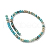 Dyed Natural Regalite/Imperial Jasper/Sea Sediment Jasper Beads Strands G-B124-C05-02-4