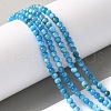 Natural Apatite Beads Strands G-F674-04-4mm-2