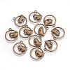 Alloy Pendants EA9508Y-AB-1
