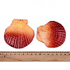 Spray Painted Natural Scallop Shell Big Pendants SSHEL-T017-14D-3