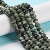 Natural Silver Line Jasper Beads Strands G-Z042-B01-04-2