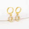 Brass Micro Pave Clear Cubic Zirconia Hoop Earrings FS-WGAF6E5-01-1