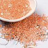 Glass Seed Beads SEED-K009-08A-02-1