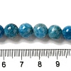 Natural Apatite Beads Strands G-S150-18-8mm-6