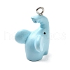 Opaque Resin Pendants FIND-I044-14-2