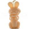 Easter Rabbit DIY Acrylic Candle Molds PW-WG43124-01-4