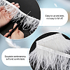 AHADERMAKER 2 Yards Fashion Ostrich Feather Cloth Strand Costume Accessories FIND-GA0003-68A-3