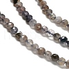 Natural Iolite Beads Strands G-RM2025-22-3mm-4