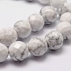 Natural Howlite Beads Strands G-D840-44-10mm-3