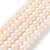 Natural Cultured Freshwater Pearl Beads Strands PEAR-I007-02N-02C-2