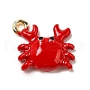 Zinc Alloy Enamel Pendants FIND-I044-17B-1-1