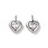 304 Stainless Steel Micro Pave Cubic Zirconia Pendants STAS-L022-396B-P-1