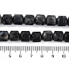 Natural Larvikite Beads Strands G-L604-E07-01-5