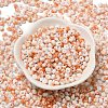 Baking Paint Glass Seed Beads X1-SEED-F006-01A-10-2