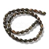 Natural Multi-Color Agate Beads Strands G-I369-B14-01-3