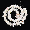 Natural Trochid Shell/Trochus Shell Beads Strands SSHEL-T017-29-2
