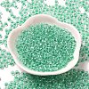 Transparent Glass Round Seed Beads X1-SEED-B001-05A-11-2