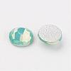 Glass Flat Back Rhinestone Cabochons G-P261-01-6#-2