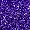MIYUKI Delica Beads SEED-X0054-DB0610-3