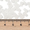 Transparent Colours Glass Seed Beads SEED-R001-01A-4