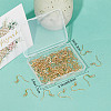 SUNNYCLUE 100Pcs 304 Stainless Steel French Earring Hooks STAS-SC0004-63G-6