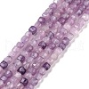 Natural Lepidolite/Purple Mica Stone Beads Strands G-C009-B16-1