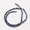 Natural Sodalite Round Bead Strands G-P072-27-4mm-2