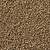 MIYUKI Delica Beads SEED-X0054-DB1163-2